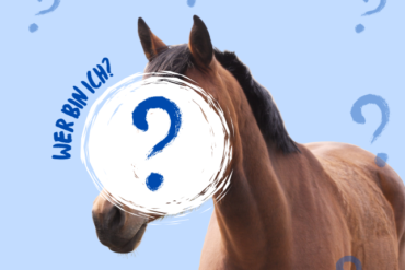 Mehr Austausch, Freunde!