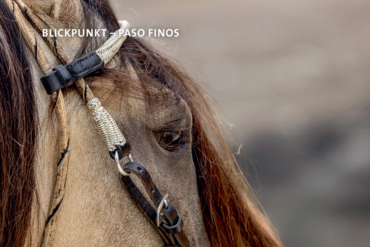 Zwei Welten auf Eis: Zwischen Kinderlachen und Champagnerglas