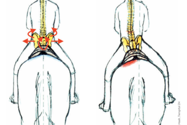 «Happy Horse» öffnet Fenster zum Reitsport