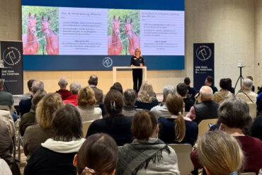 #CleverMitKavallo: Wieviel Heu für ein 520 kg Pferd?