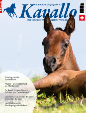 Kavallo-Digital März 2026