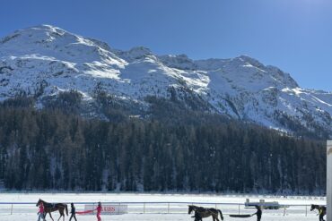 Temperamentvolle Herzensbrecher – Paso Finos in der Schweiz