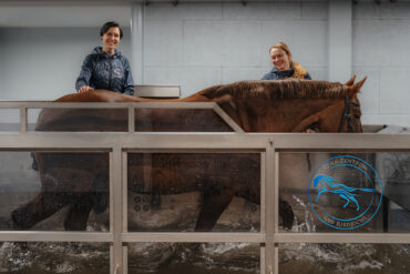 Der Verein Pferdeerlebnisse Aargau ist gegründet