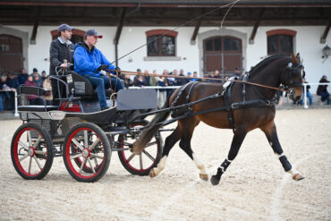 «Der Gute Stall»: Pferdehaltung ist Teamwork 