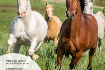 Der Sitz ist steif? Neuroriding könnte helfen!