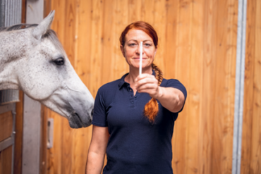 Das April-«Kavallo» ist da: kleine Stiche, grosse Folgen