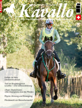Kavallo-Digital Juli 2026